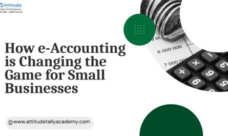 e-accounting course, tally Course in Yamuna Vihar